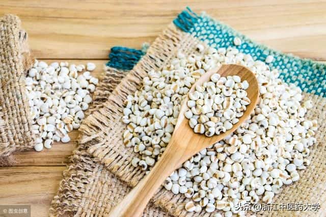 薏米带壳叫什么（薏米是什么样子的图片）