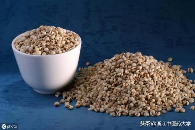 薏米带壳叫什么（薏米是什么样子的图片）