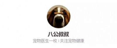 ​10大最烧脑狗狗灯谜，看你能解锁几道