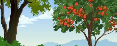 ​油桃常温下可以放几天