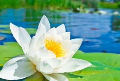 ​云顶之弈英雄之黎明阵容云顶之弈英雄黎明阵容