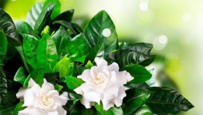 ​淘宝特价版改为淘特淘特改评价