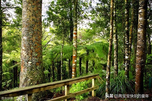 十年树木，百年树人