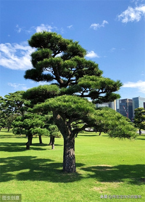 十年树木，百年树人