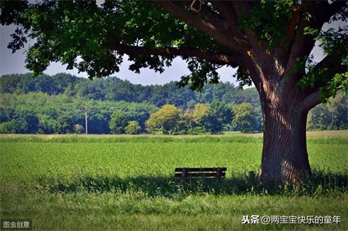 十年树木，百年树人