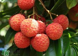 荔枝为什么要泡在水里？荔枝泡盐水多久？