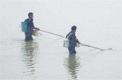 ​自家鱼塘电鱼 是犯法吗