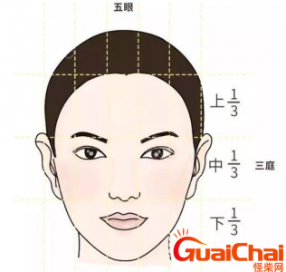 ​章小蕙面相解析 什么样的面相好？