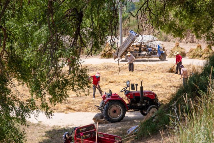 六七十年代农村生活景象图片 六七十年代农村生活景象图片秋天玉米地收割后的玉米地