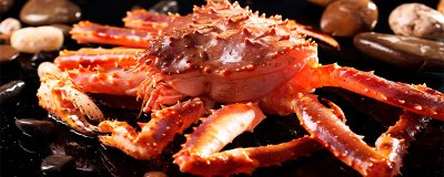 ​帝王蟹是蜘蛛还是螃蟹