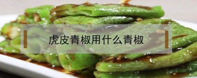 ​虎皮青椒用什么青椒