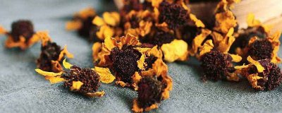 ​昆仑雪菊的功效与作用及禁忌