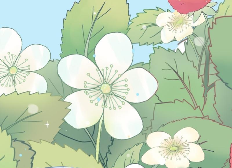 狮子座女生的性格特点与爱情观