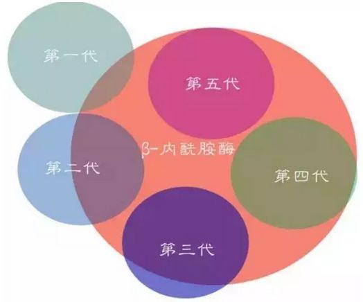 第一代和第二代头孢菌素有哪些（五代之间却不同）(2)