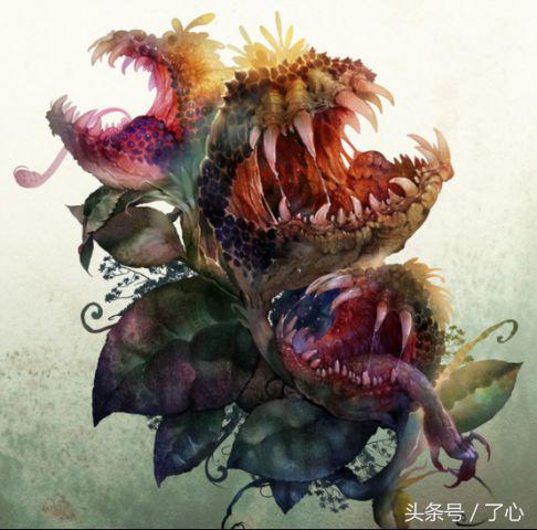 关于食人花的介绍（干货分享食人花的小知识）