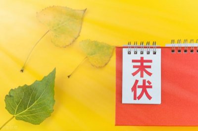 ​末伏吃什么(末伏吃什么?)