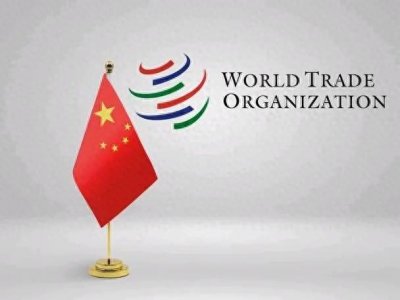 ​中国加入世贸组织的历史影响