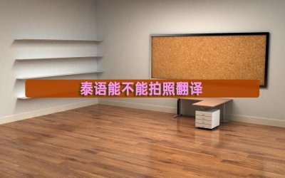 ​泰语能不能拍照翻译？介绍一款手机软件