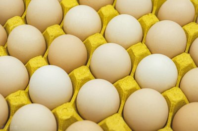 ​今日（3月9日）河北鸡蛋价格报价