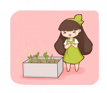 ​怎样发绿豆芽的方法 几粒绿豆，一把热水壶，3天发出无毒绿豆芽！