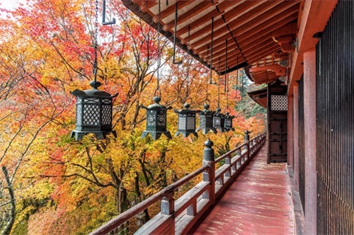 奈良县古称大和,日本历史和文化发祥地之一