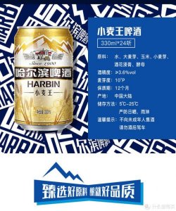 ​百威啤酒特殊(百威啤酒经典语录)