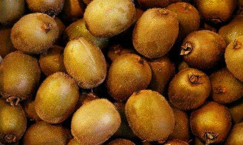 猕猴桃不熟怎么催熟,猕猴桃没熟怎么催熟?图4