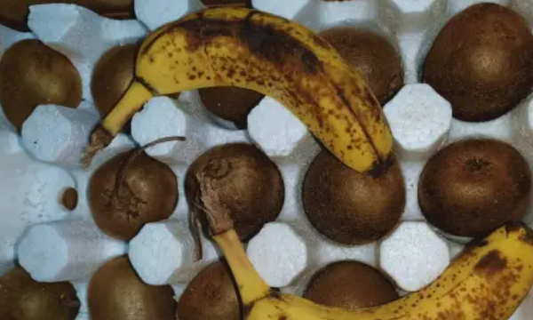 猕猴桃不熟怎么催熟,猕猴桃没熟怎么催熟?图6