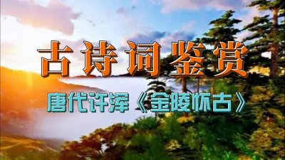 ​古诗词鉴赏：唐代许浑《金陵怀古》，抒写金陵繁华一去不返...