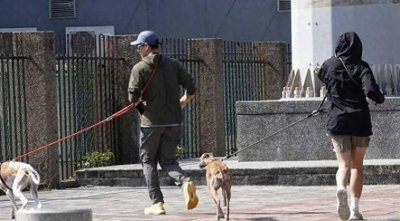 ​经纪人否认彭于晏新恋情：只是帮忙遛狗的朋友