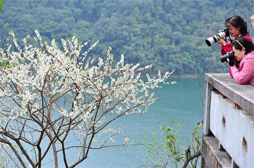国家首批森林公园,广州后花园流溪河