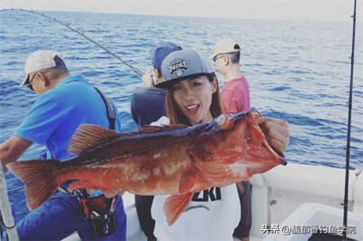 ​海钓用什么味型的鱼饵？海钓鱼饵的4种主流味型，海钓效果超级好
