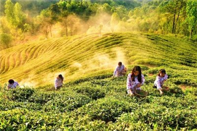 ​河南新县欢迎您！