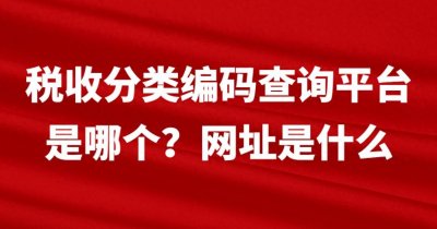 ​税收分类编码查询平台是哪个？网址是什么