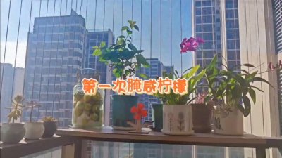 ​年轻人第一次尝试腌制广西咸柠檬,大家看看我腌的方法对不对？