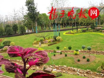 ​去南京南站时，你注意到这十多处绝美“花境”了吗？