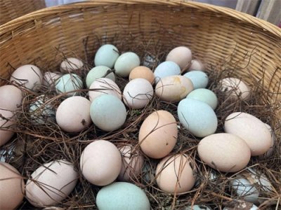 ​在商圈里赶大集是什么体验？来版筑翠园感受与东川的温暖连接