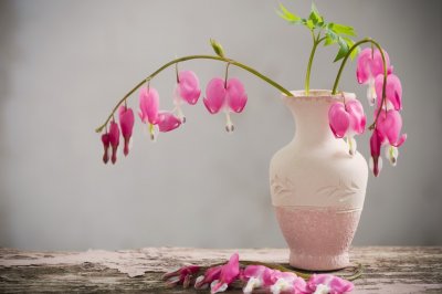 ​慧海慈航：浅释六祖慧能名谒“菩提本无树......＂