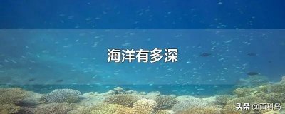 ​大海到底有多深？