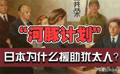 ​河豚计划---日本人的狼子野心