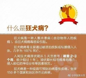 ​9岁男孩被狗舔手后死亡