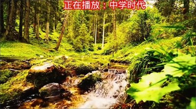 ​《中学时代》承载青春回忆的优美旋律之诗