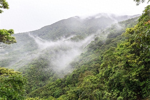 梧桐山主峰高944米,为珠三角第一峰,上有“梧岭天池”