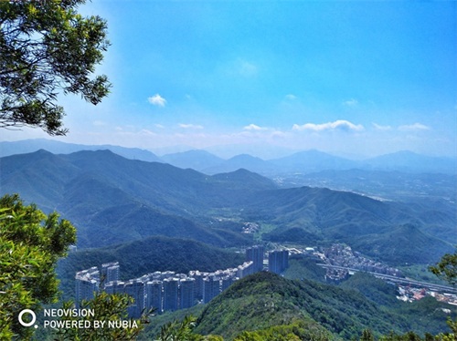 梧桐山主峰高944米,为珠三角第一峰,上有“梧岭天池”