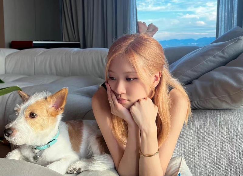 粉丝每天在催婚（台湾女星常被粉丝催婚）