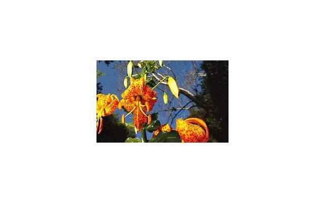 挽回伤透心的爱人，挽回伤透心的爱人，是不是还有机会？