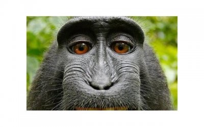 ​过来人提醒你：多年未见的老同学，忽然加你微信，目的多半不单纯