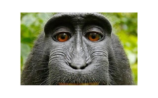 过来人提醒你:多年未见的老同学,忽然加你微信,目的多半不单纯 过来人提醒你:多年未见的老同学,忽然加你微信,目的多半不单纯