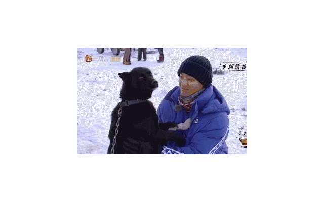 呵呵是什么意思，撩妹专业角度教你判断