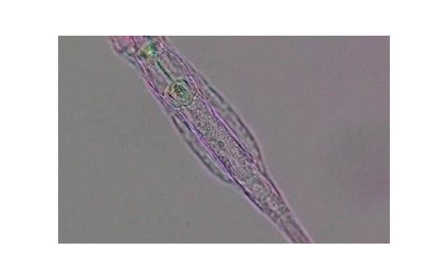 比较冷门的隐藏情侣名 小众不易撞的情侣名 比较冷门的隐藏情侣名 小众不易撞的情侣名